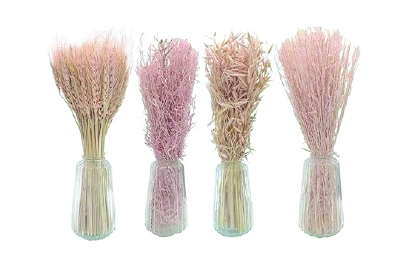 Ensemble de 4 Vases Décoratifs en Verre avec Fleurs Séchées, 35 cm, Tons Rose et Beige